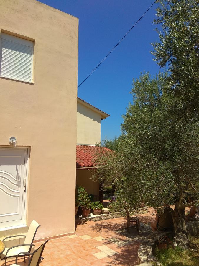 Ktima Tzamika * Episkopi-Chania