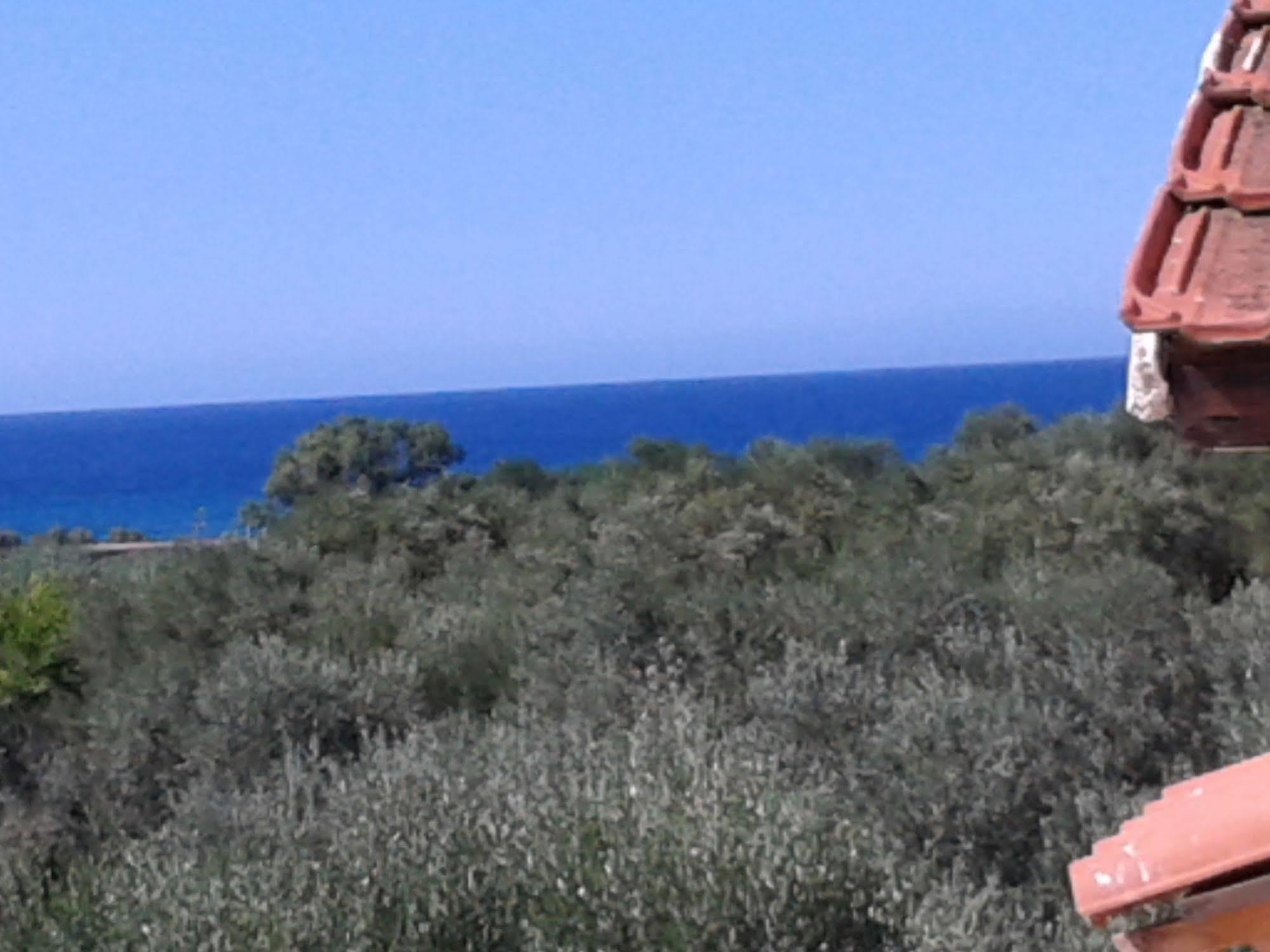 Ktima Tzamika * Episkopi-Chania