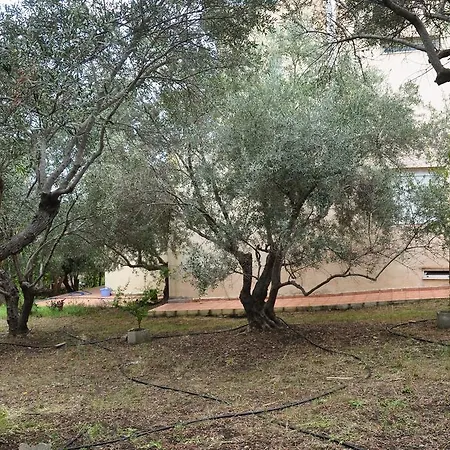Apartmán Ktima Tzamika Episkopi-Chania Exteriér fotografie