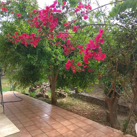 Apartmán Ktima Tzamika Episkopi-Chania Exteriér fotografie