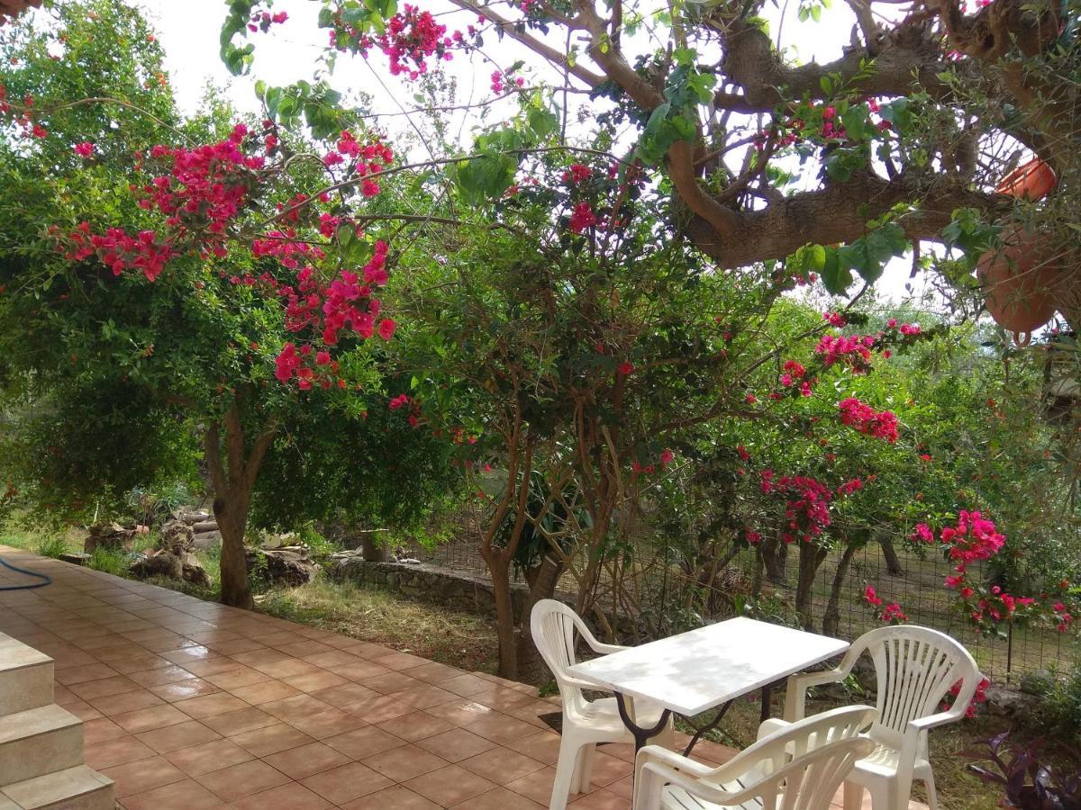 Ktima Tzamika Apartmán Episkopi-Chania