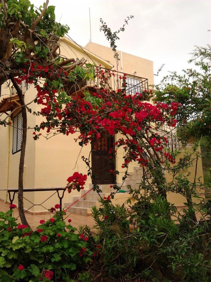 Ktima Tzamika * Episkopi-Chania