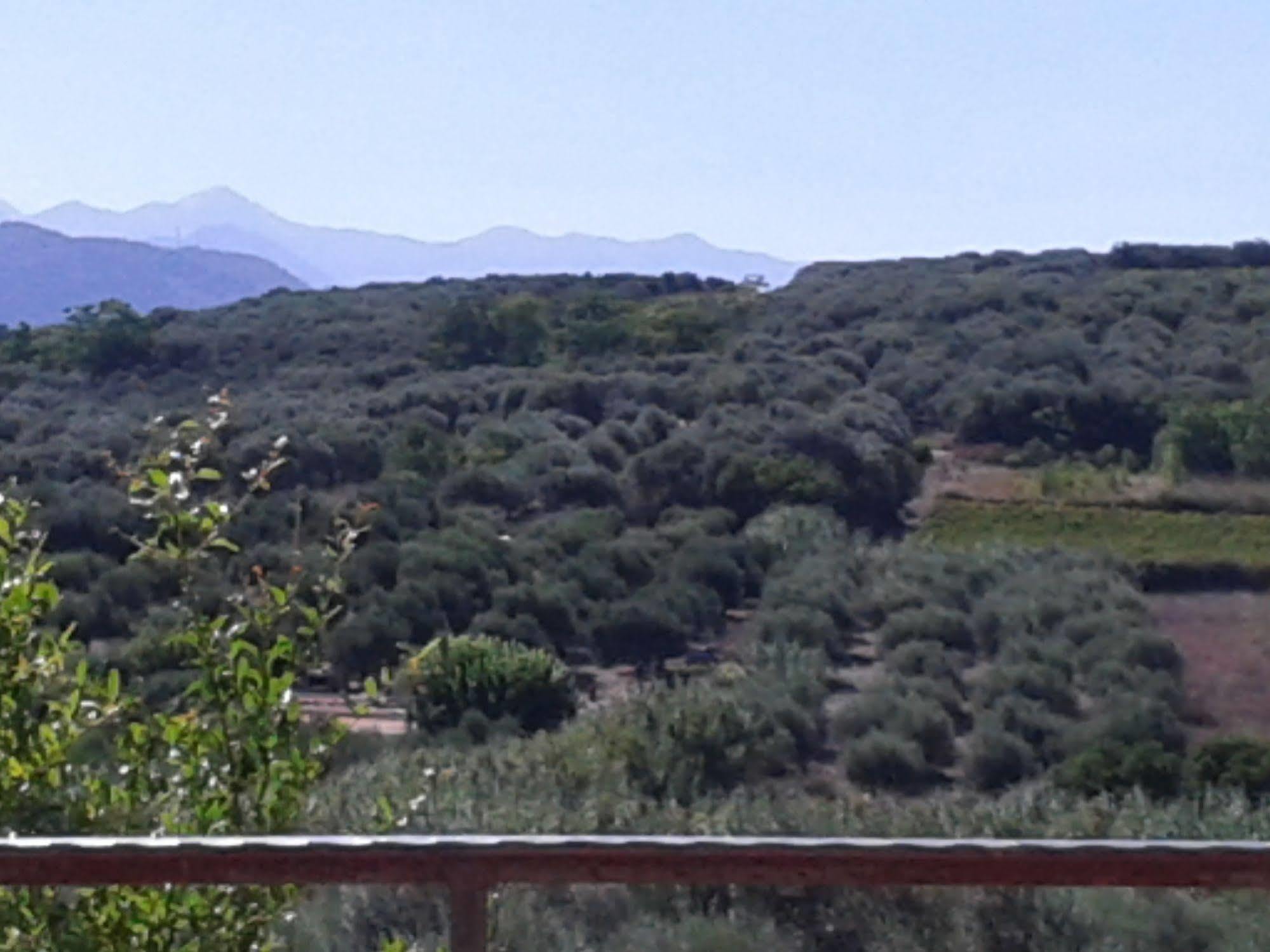 Ktima Tzamika * Episkopi-Chania