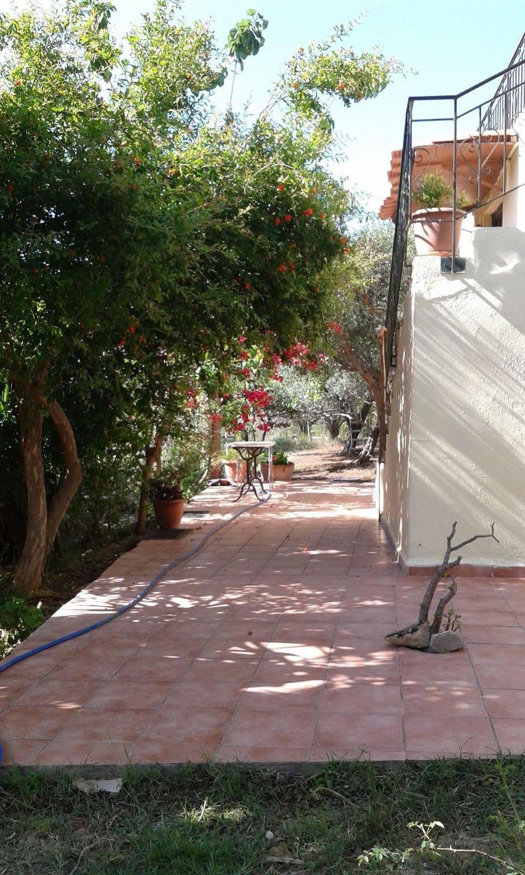 Ktima Tzamika * Episkopi (Rethymno)